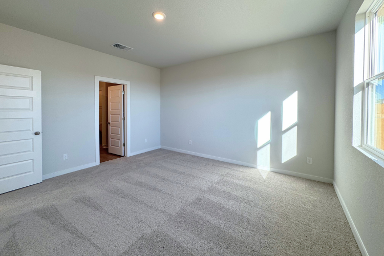 A room with a carpet and windows.