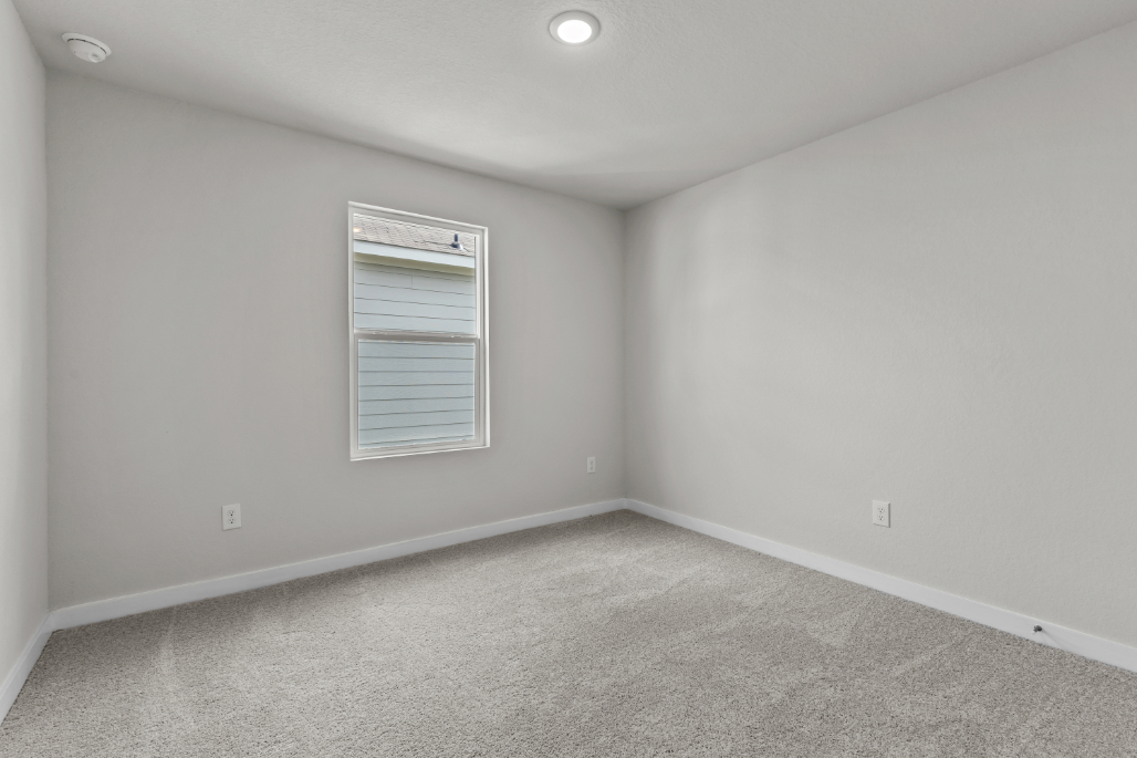 A room with a window and a carpet.